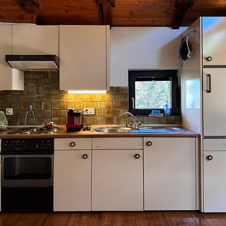 Cozy Apartment In The Green Locarno Zewnętrze zdjęcie